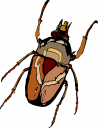 Bug Clipart