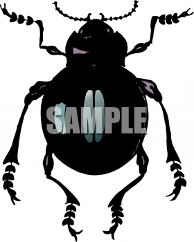 Bug Clipart