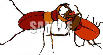 Bug Clipart