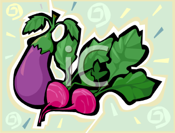 Radish Clipart