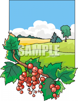 Produce Clipart