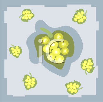 Grape Clipart