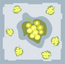 Grape Clipart