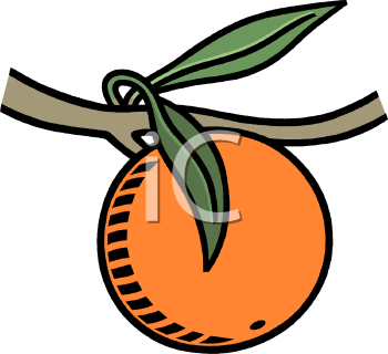 Orange Clipart