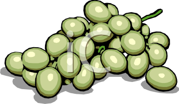 Grape Clipart