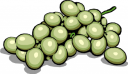 Grape Clipart