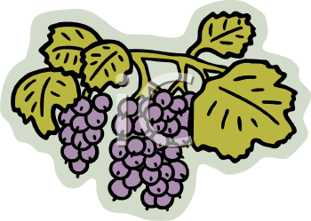 Grape Clipart