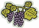 Grape Clipart