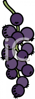 Wine Clipart