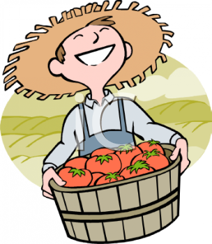 Tomato Clipart