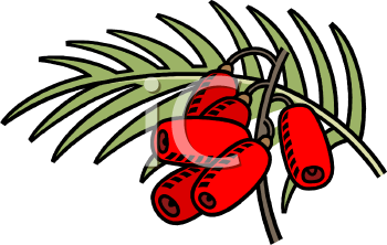 Pepper Clipart