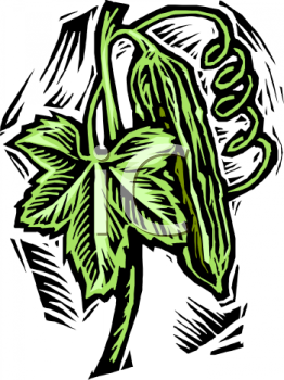 Vegetables Clipart