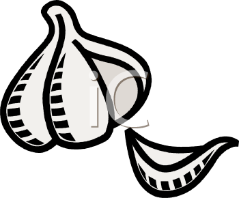 Garlic Clipart