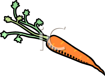 Carrot Clipart