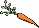 Carrot Clipart