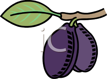 Plum Clipart