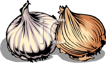 Onion Clipart