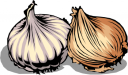 Onion Clipart