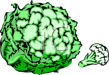 Cauliflower Clipart