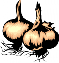 Garlic Clipart