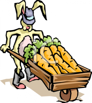 Carrot Clipart