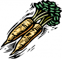 Carrot Clipart