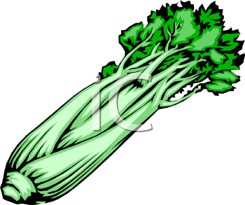 Celery Clipart