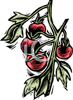 Vegetables Clipart