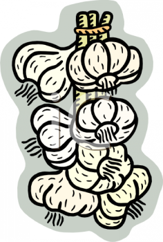 Garlic Clipart