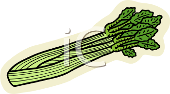 Celery Clipart