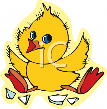 Duck Clipart