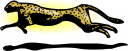 Cheetah Clipart