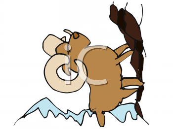 Sheep Clipart