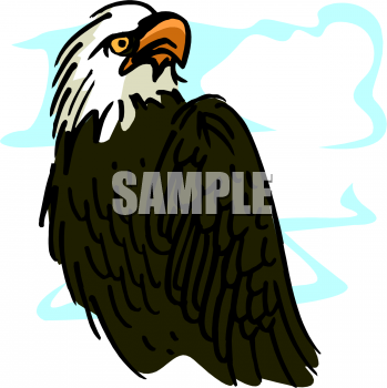 Eagle Clipart