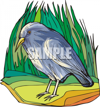 Grass Clipart