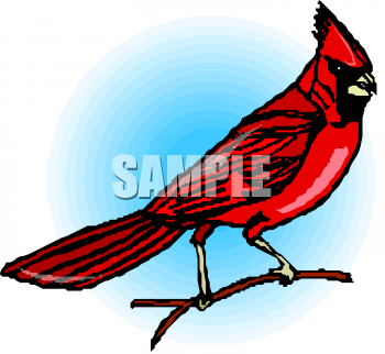 Cardinal Clipart