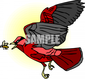 Cardinal Clipart