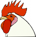 Chicken Clipart