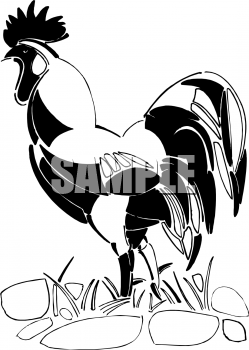 Chicken Clipart