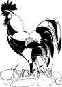 Chicken Clipart