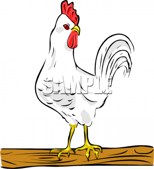 Chicken Clipart