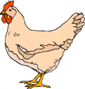 Chicken Clipart