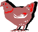 Chicken Clipart