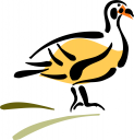 Duck Clipart