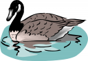 Duck Clipart