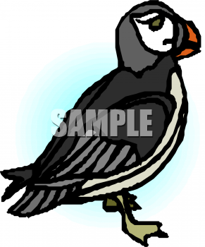 Royalty Free Duck Clipart
