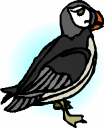 Duck Clipart