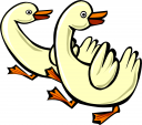 Duck Clipart