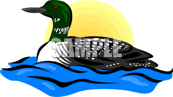 Duck Clipart