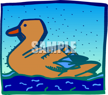 Duck Clipart